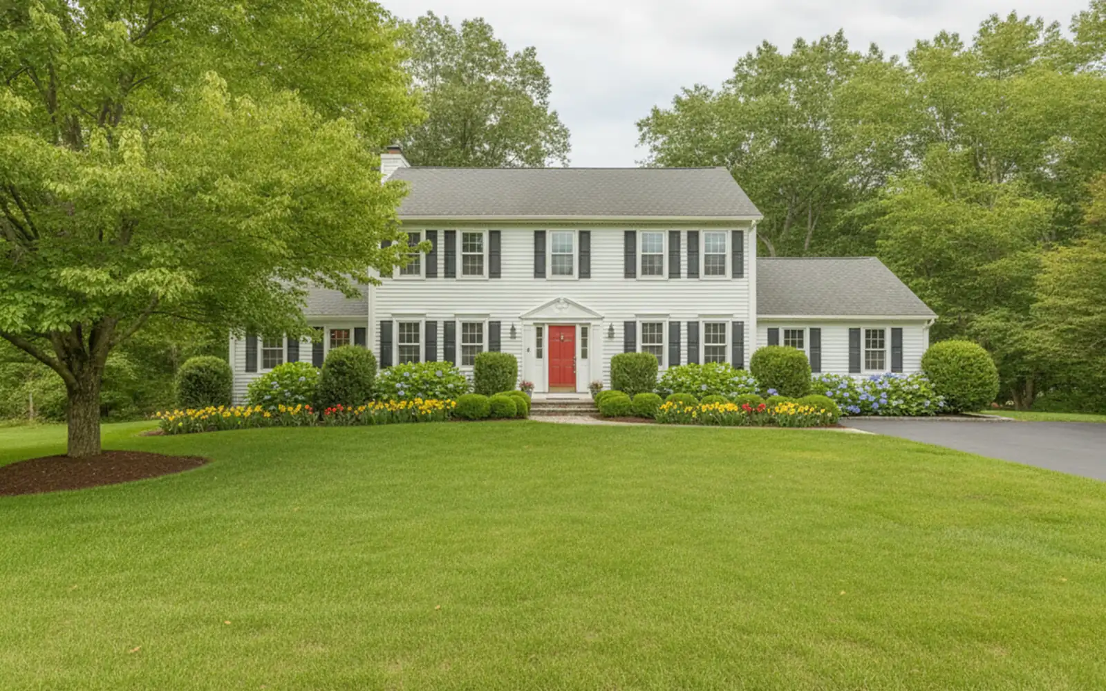 New England front yard in spring with fresh mulch beds and blooming shrubs